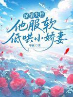 阮时笙孟缙北