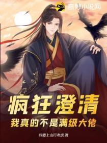 疯狂澄清:我真的不是满级大佬