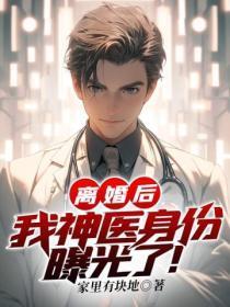 离婚后,我神医身份曝光了!