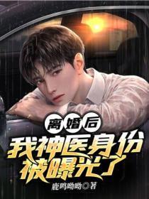 离婚后,我神医身份被曝光了